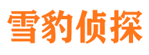 南海市调查公司